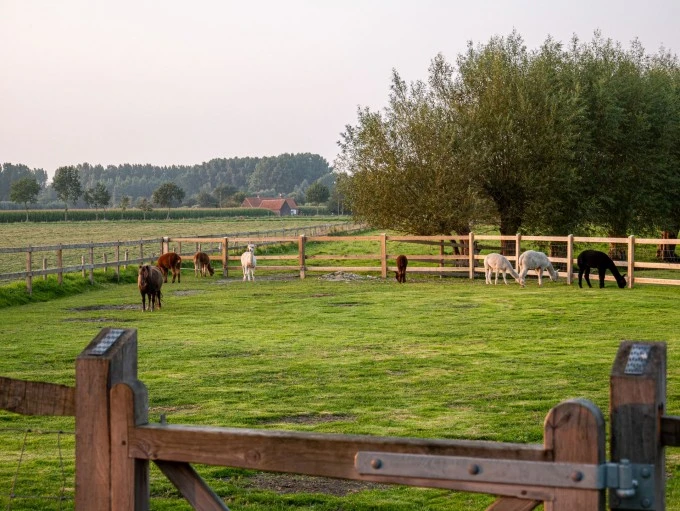 Carousel slide